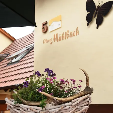 Balik Apartamento